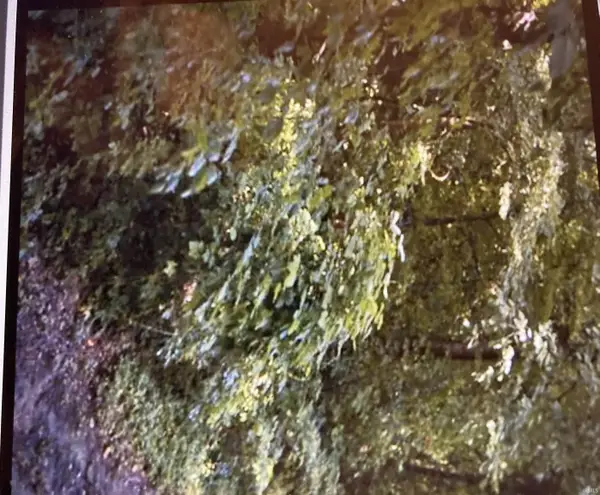 2923 Skyline Drive, Evansville, IN 47712