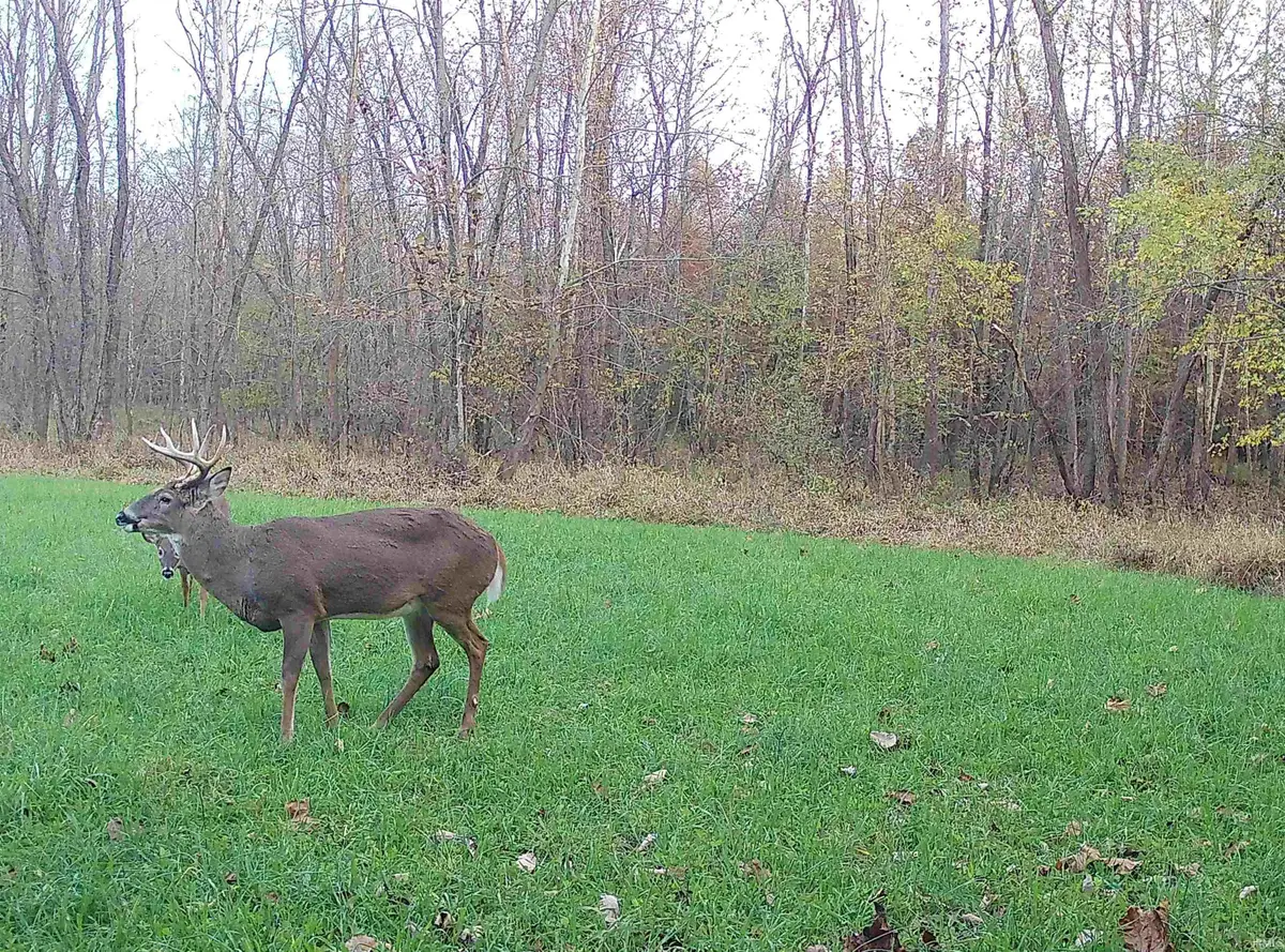 2 S Iron Mountain Road, Bloomfield, IN 47424 - Image #1