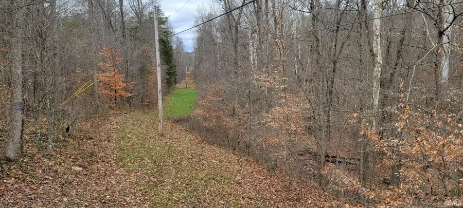 62.2 Acres Blanton Road, Mitchell, IN 47446 - Image #3