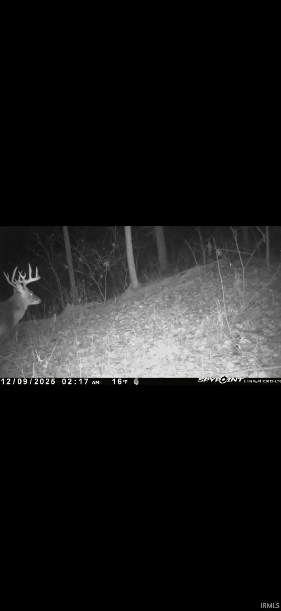 6017 N Old 157 Road, Worthington, IN 47471 - Image #3