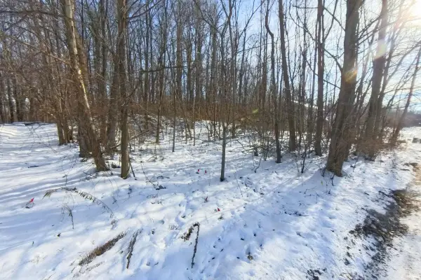 2608 S Carlisle Street, South Bend, IN 46614