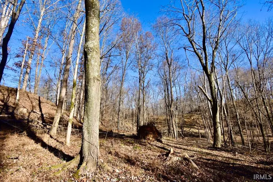 00 Ebeneezer Road, Tennyson, IN 47637 - Image #3