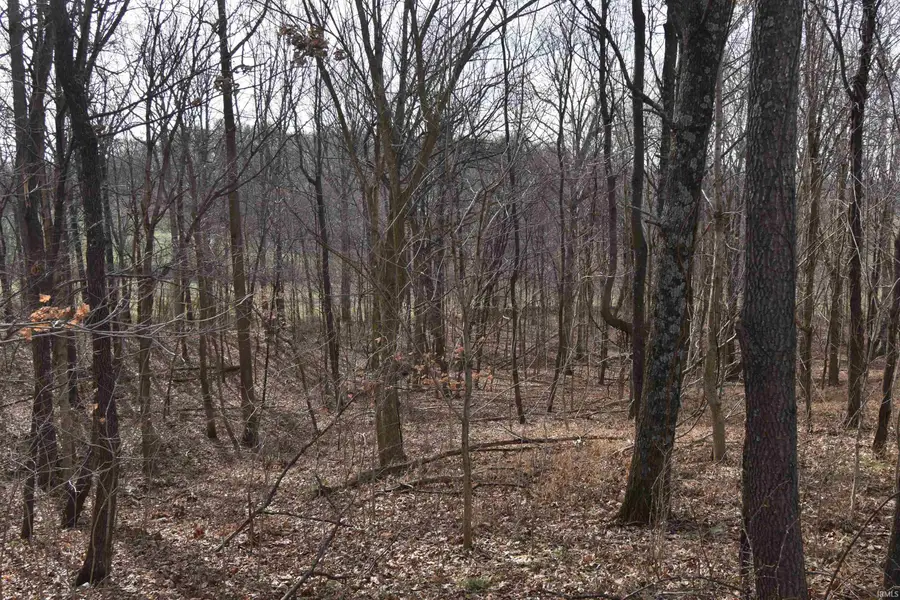 0 S 500 E Road, Ferdinand, IN 47532 - Image #2