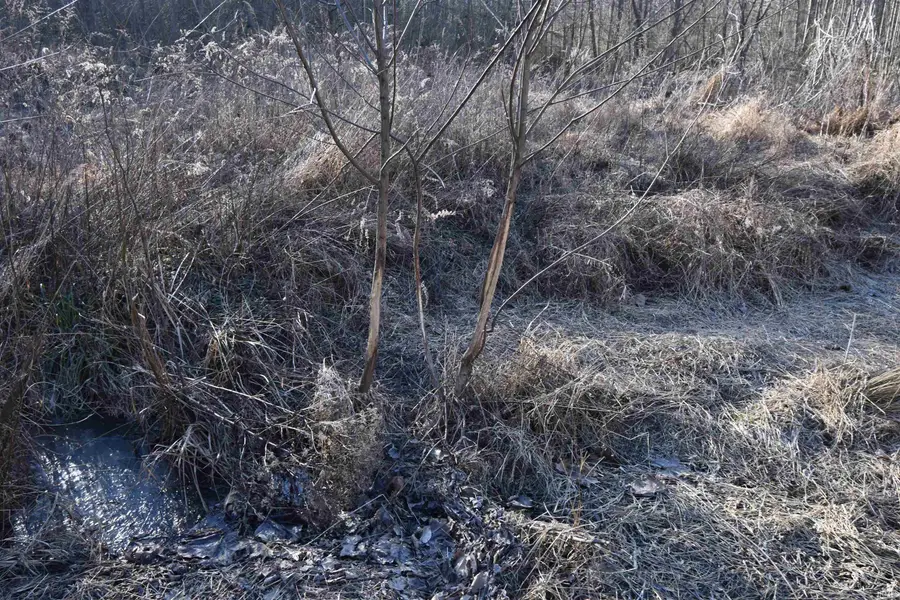 0 S Harts Gravel Road, Birdseye, IN 47513 - Image #2