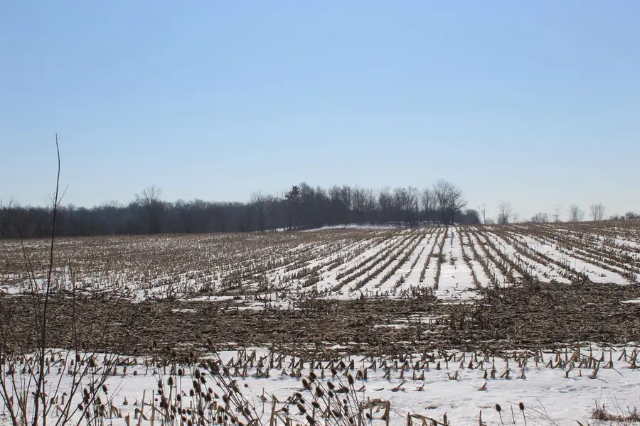 TBD Family Dollar Parkway, Ashley, IN 46705 - #2