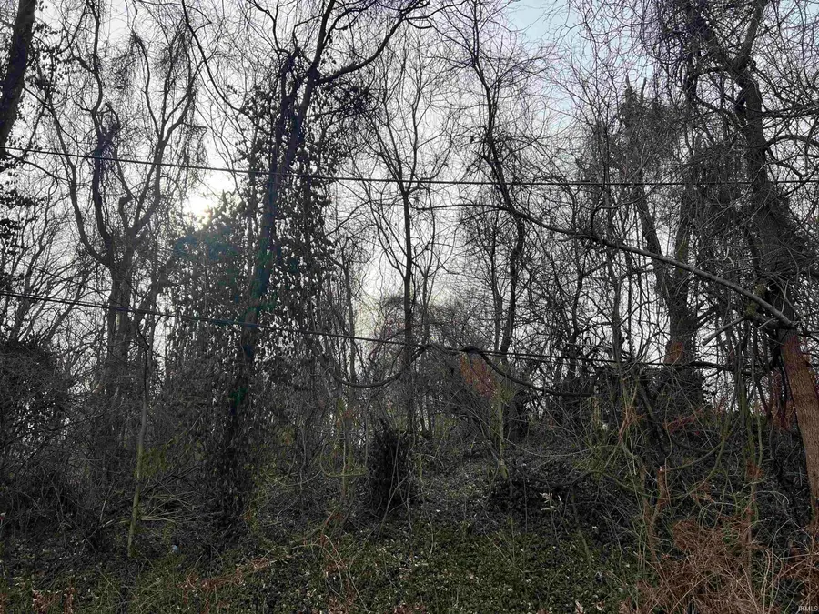 1197 Roush Avenue, Vincennes, IN 47591 - #3