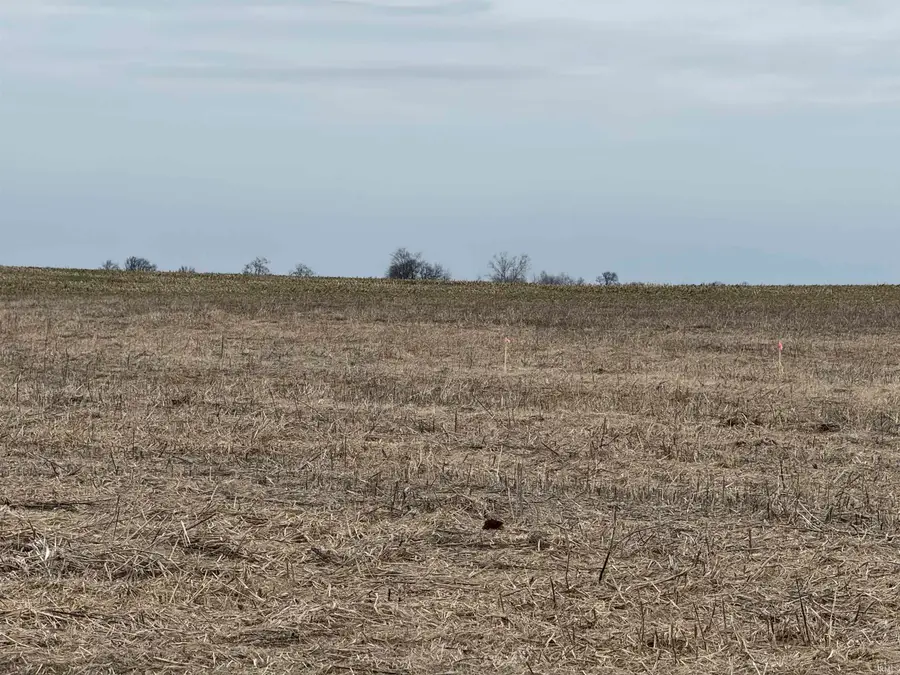 Lot 5 Cr 925, Haubstadt, IN 47639 - #2
