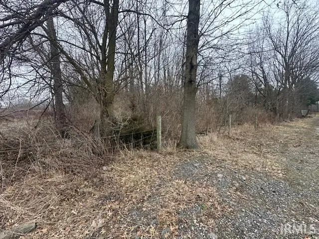 55131 Pear Road, South Bend, IN 46628 - #2