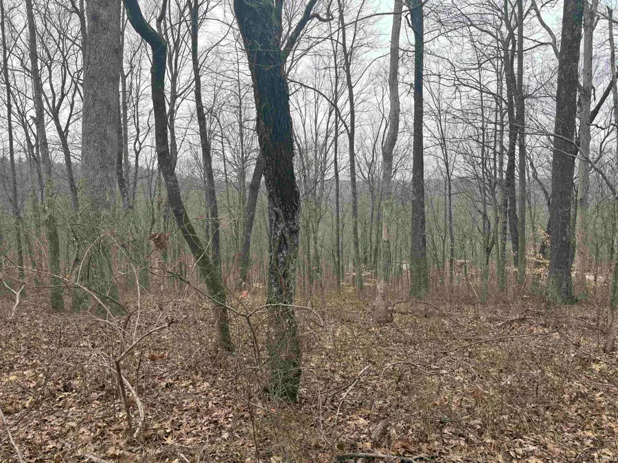 Campton Road, Birdseye, IN 47513 - #2