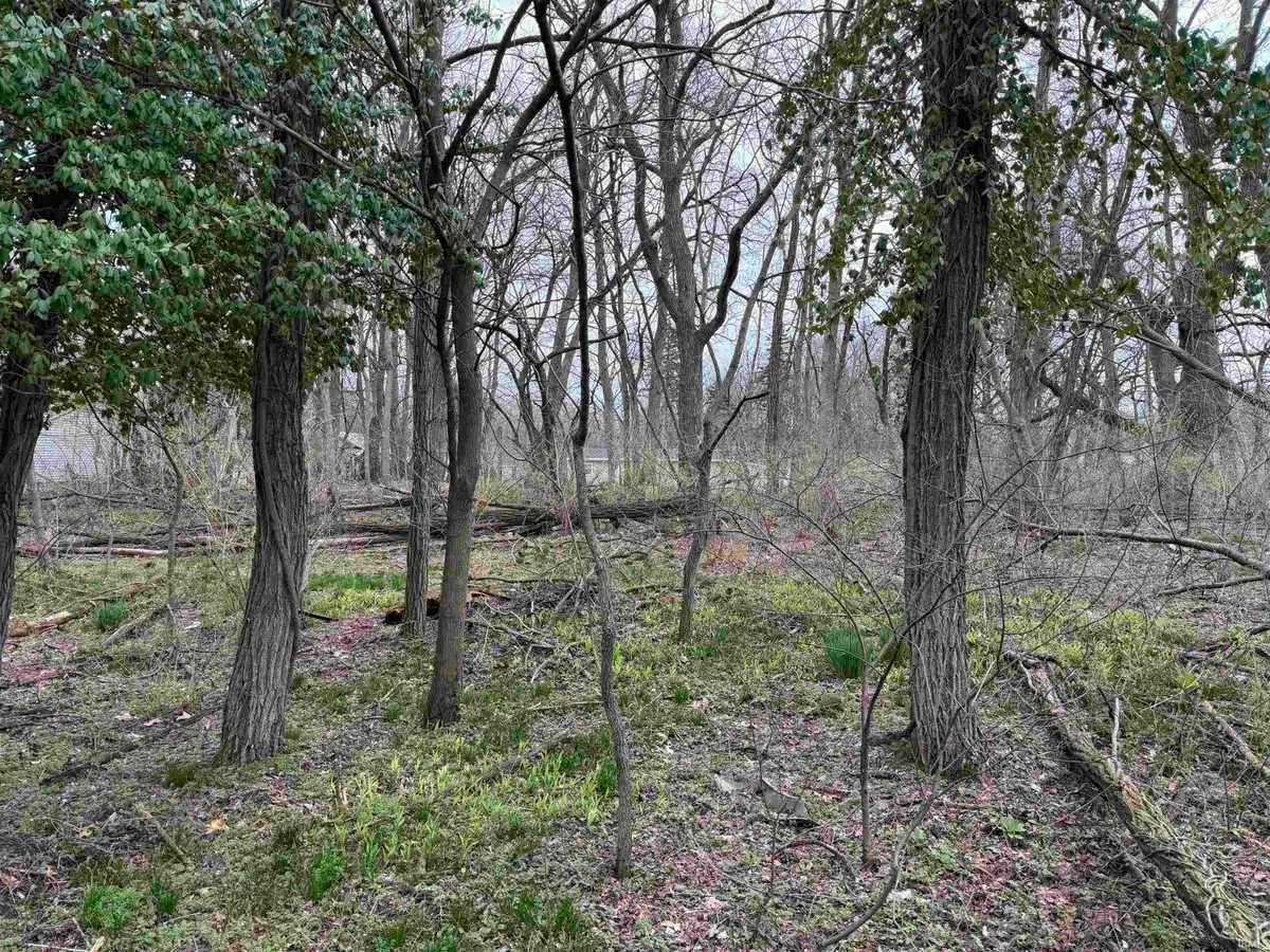 V L Adj 55625 Melrose Avenue, South Bend, IN 46628 - #1