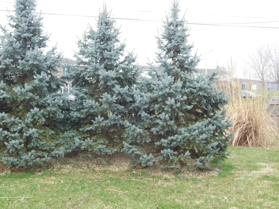 8301 N Colony Drive, Yorktown, IN 47396 - #3