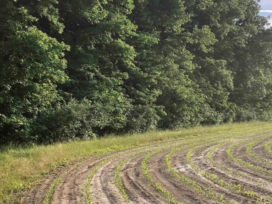 9567 N River Road Road, New Haven, IN 46774 - #2