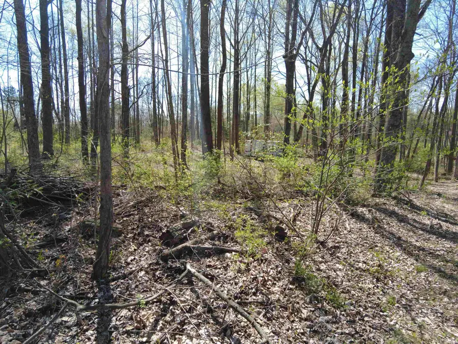 107 Jay Lane, Bedford, IN 47421 - #3