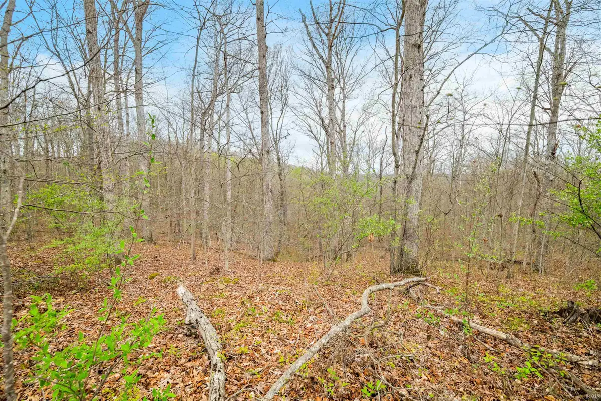 Lower Schooner Road, Nashville, IN 47448 - #1
