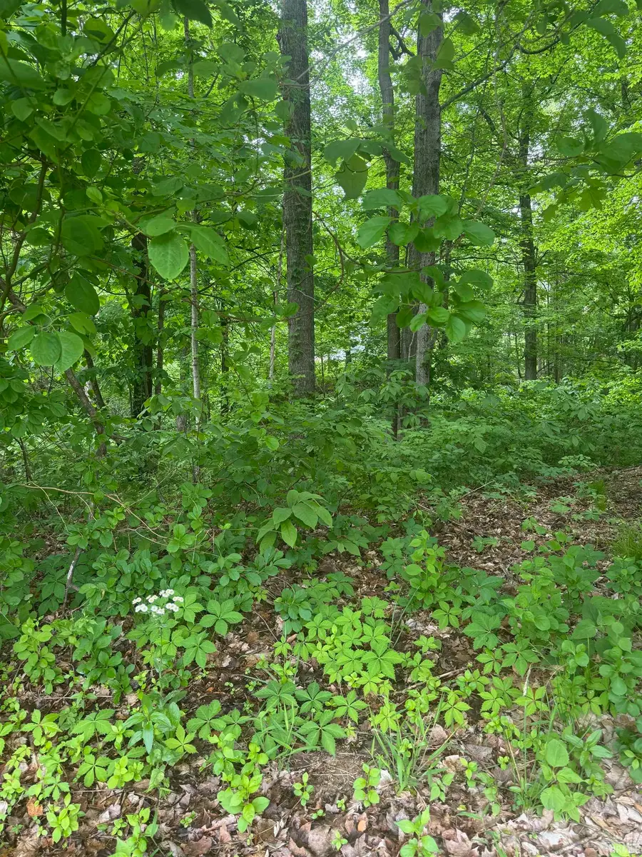 6477 Water Stone Court, Newburgh, IN 47630 - #3