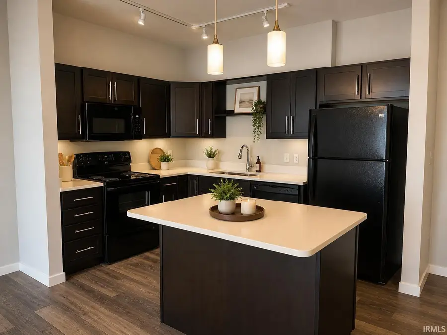 116 W Mishawaka Avenue #310, Mishawaka, IN 46545 - #3