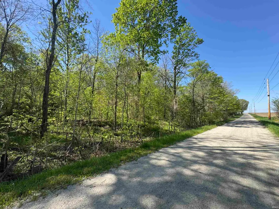 TBD W Cleveland Road, South Whitley, IN 46787 - #2