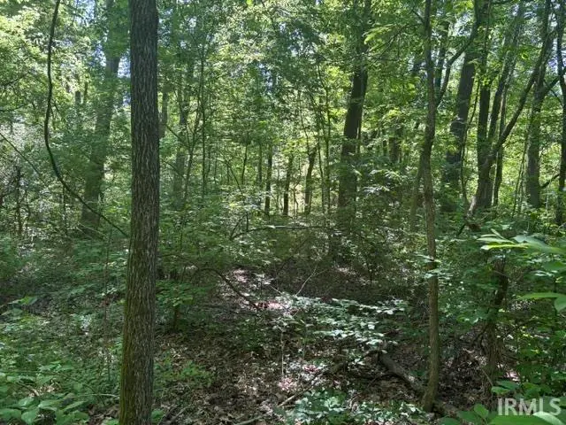 N Bawel Road, Lynnville, IN 47619 - #3