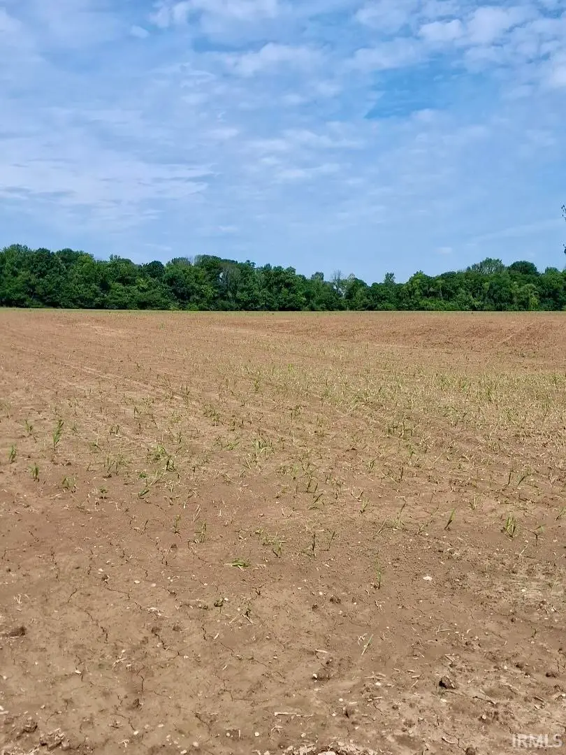 Tract 1 Cr 800 W Road, Richland, IN 47634 - #3