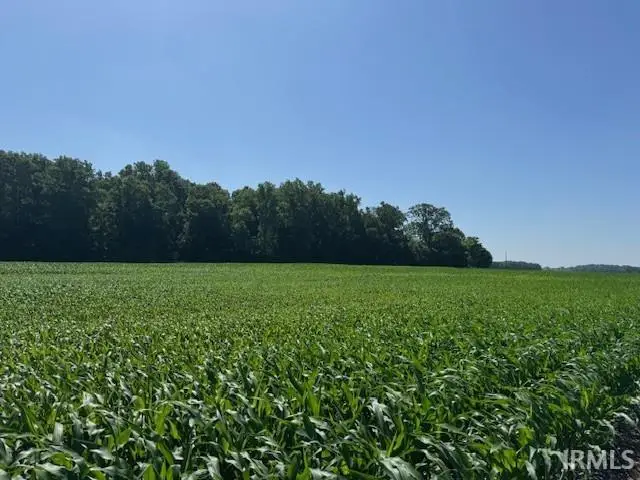 TBD E Anderson Road, Churubusco, IN 46723 - #3