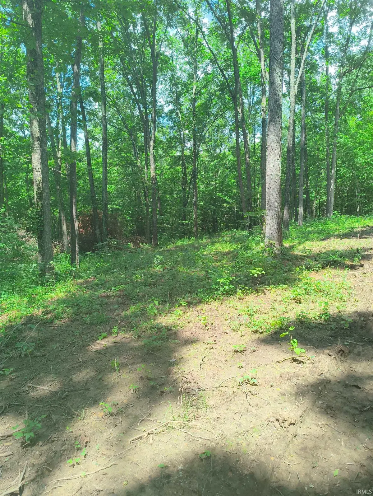 2500 S Coalmine Lot 2 Road, Bloomfield, IN 47424 - #1