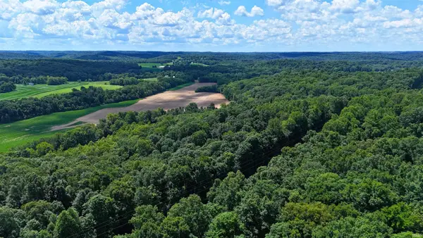 42 Acres 8669 Bird Lane, Shoals, IN 47581