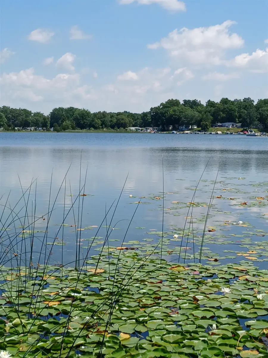 295 Ln 301 Barton Lake, Fremont, IN 46737 - #2
