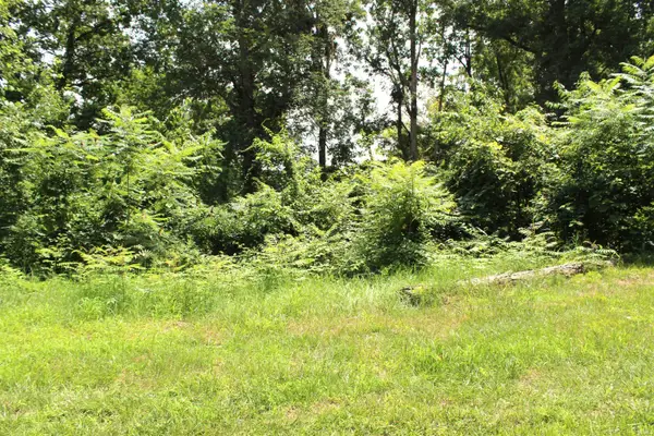 Lots 396 & 397 Ln 415 A Jimmerson Lake, Fremont, IN 46737