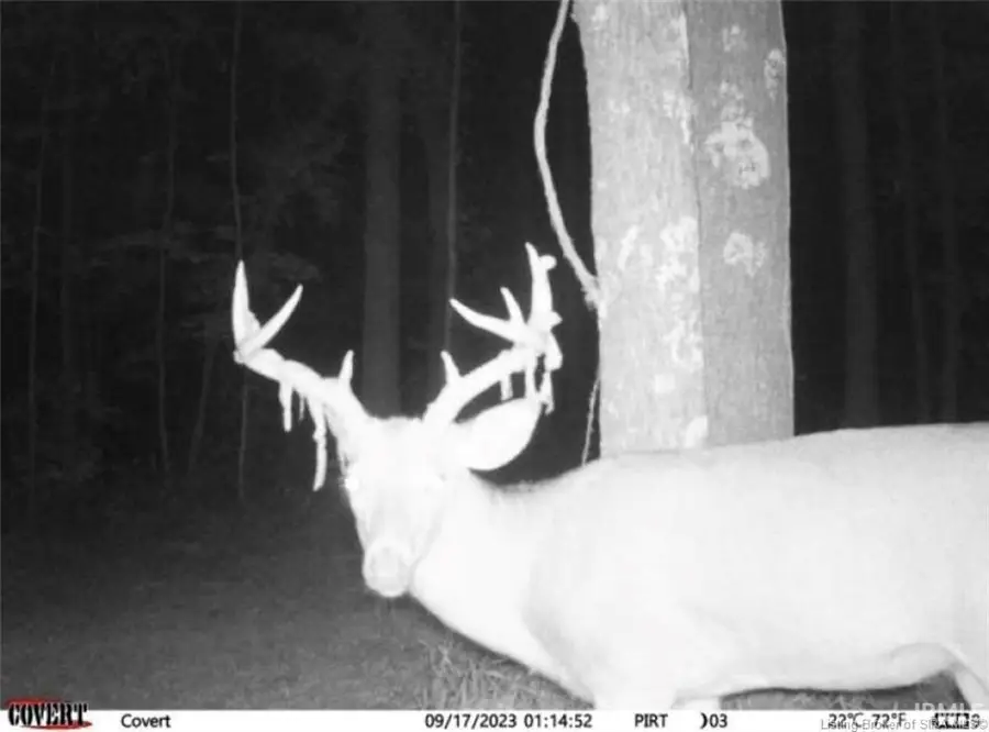 Lot 5 Deer Creek Road, Cannelton, IN 47520 - #2
