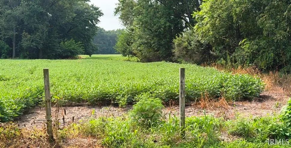 3637 N Sr23 Roads, Grovertown, IN 46531 - #1