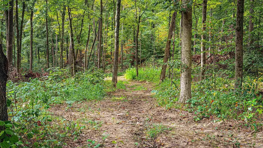3 W Porter Ridge Road, Spencer, IN 47460 - #2