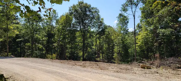 Lot 1 Stephanie Court, Solsberry, IN 47459
