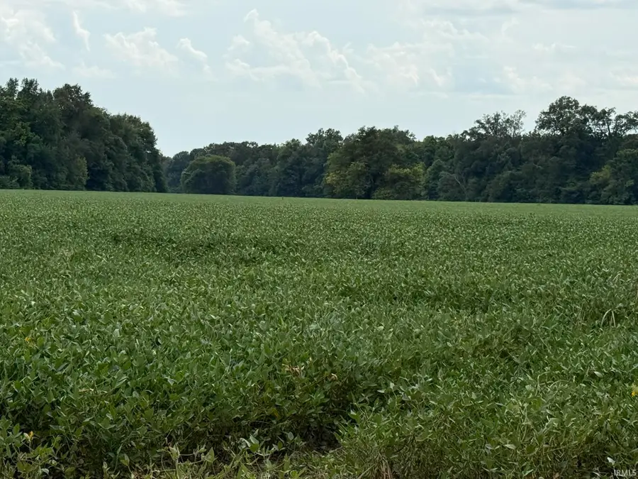 0 Cr 900 W, Richland, IN 47634 - #2