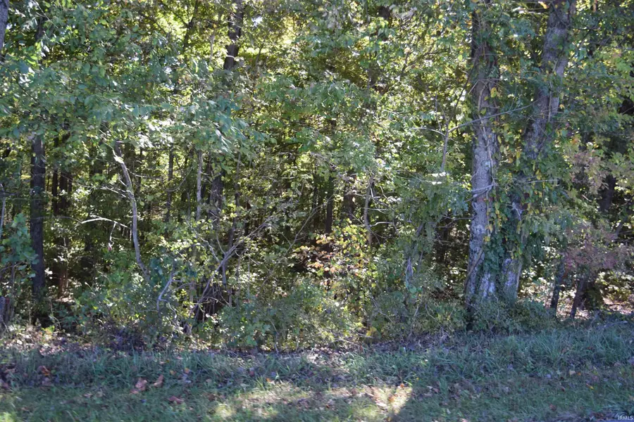 9971 Tunnleton Road, Bedford, IN 47421 - #2