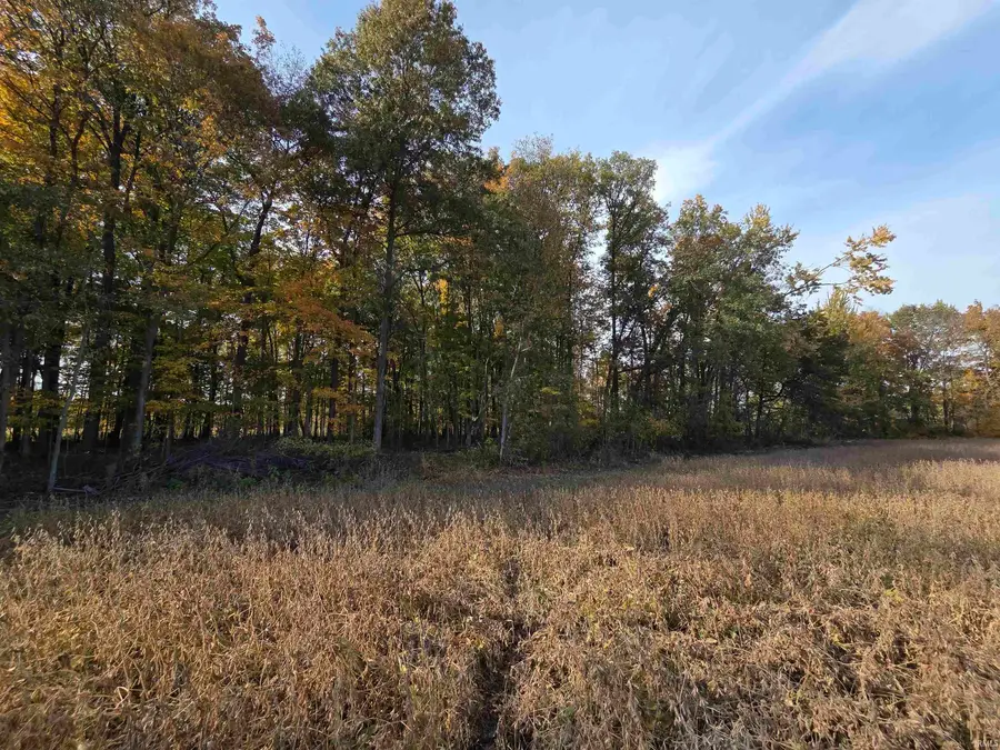 0000 Lot 1 Cr 51 Road, Butler, IN 46721 - #3