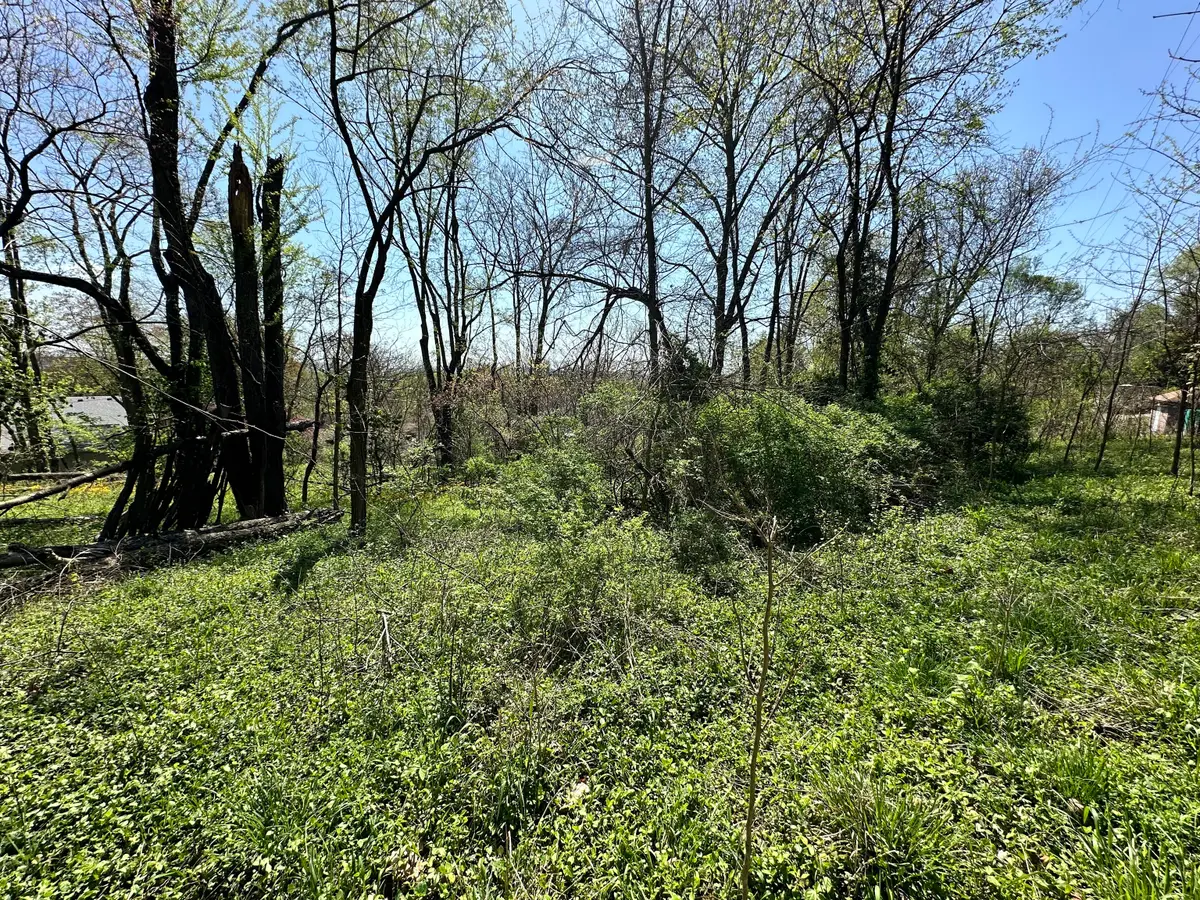 0 E Cunningham Street, Martinsville, IN 46151 - Image #1