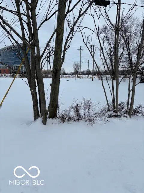 410 Jersey Street, Westfield, IN 46074 - #3