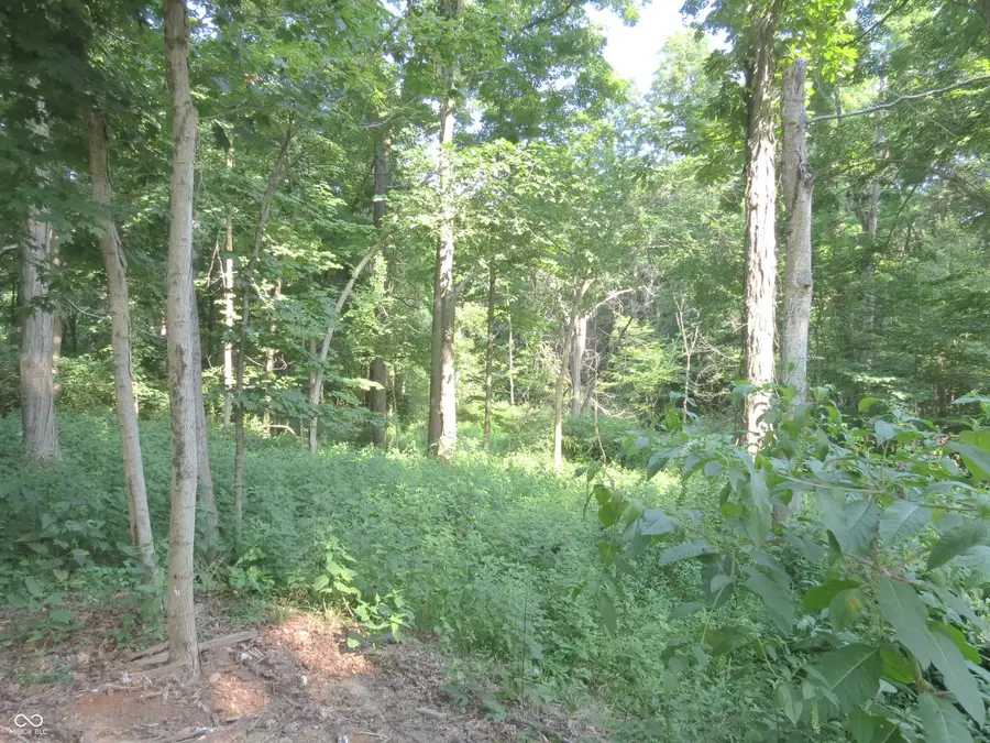 #3