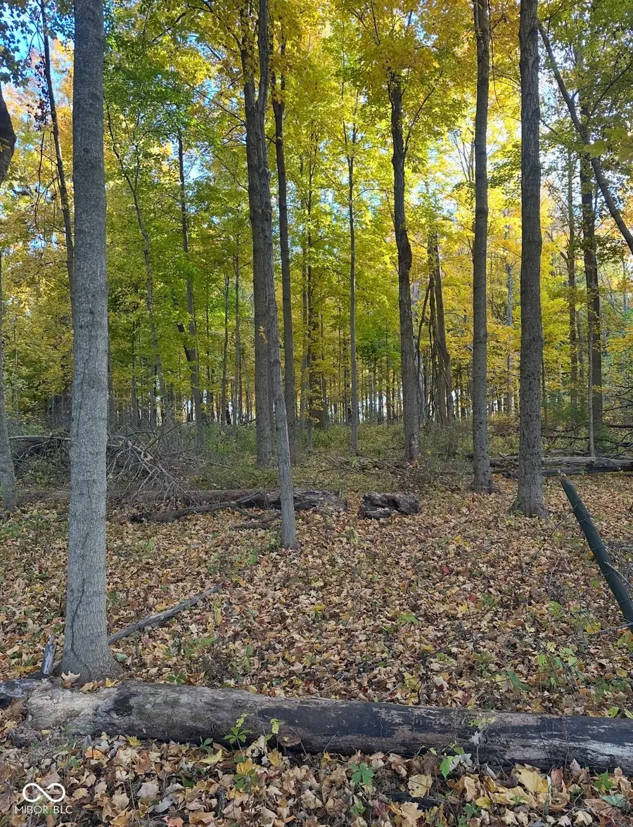 0 Cyntheanne Road, Noblesville, IN 46060 - Image #2