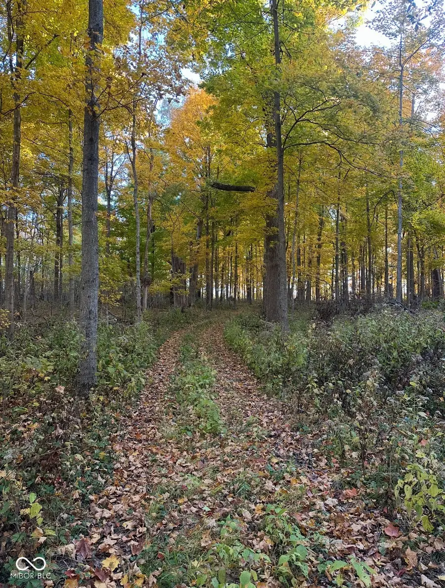 0 Cyntheanne Road, Noblesville, IN 46060 - Image #3
