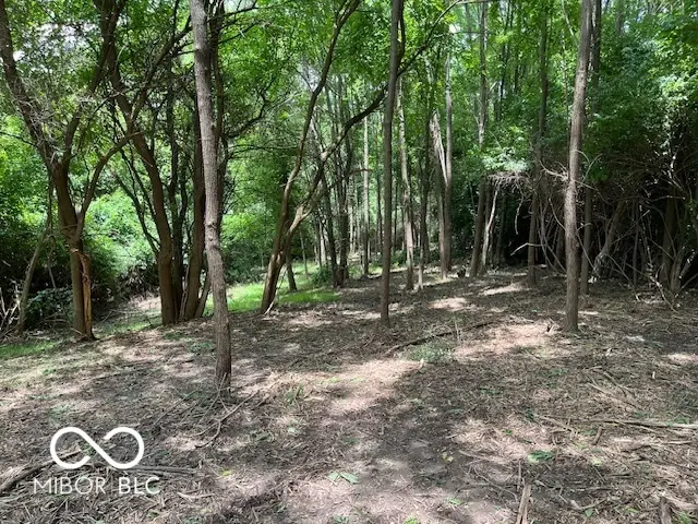 7843 S Georgetown Road, Nineveh, IN 46164 - Image #2