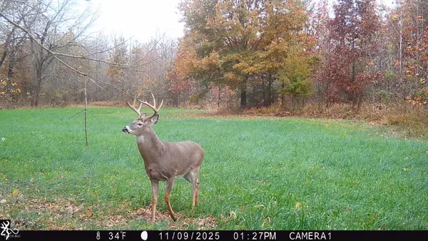 1 S Iron Mt Road, Bloomfield, IN 47424