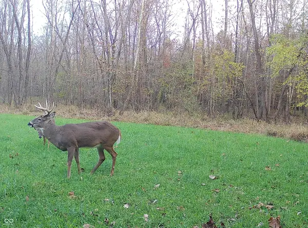 2 S Iron Mt Road, Bloomfield, IN 47424