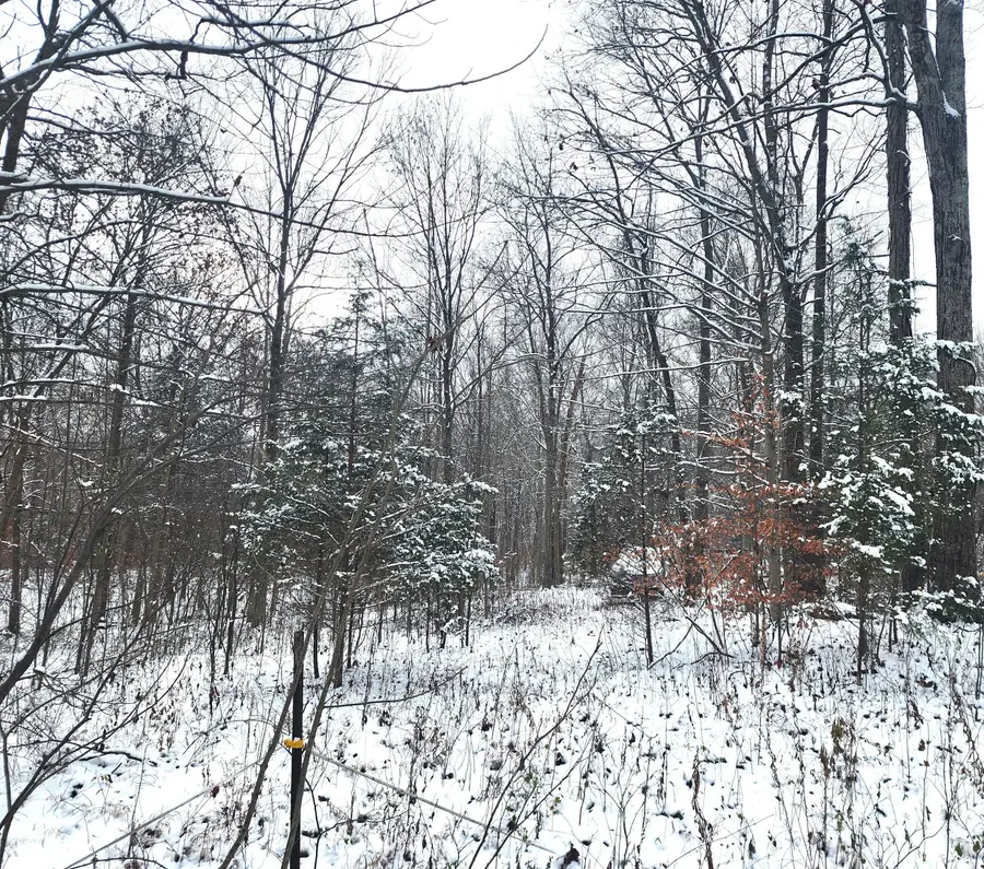 TBD Dogwood Acres Drive, Williams, IN 47470 - Image #2