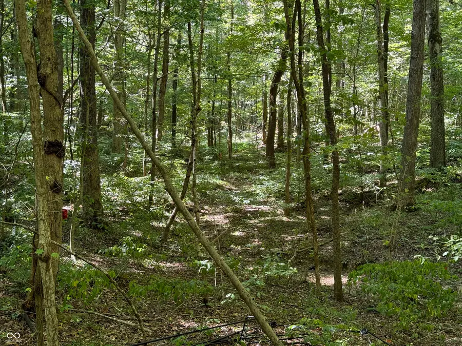 0000 E Big Springs Road, Pekin, IN 47165 - Image #3