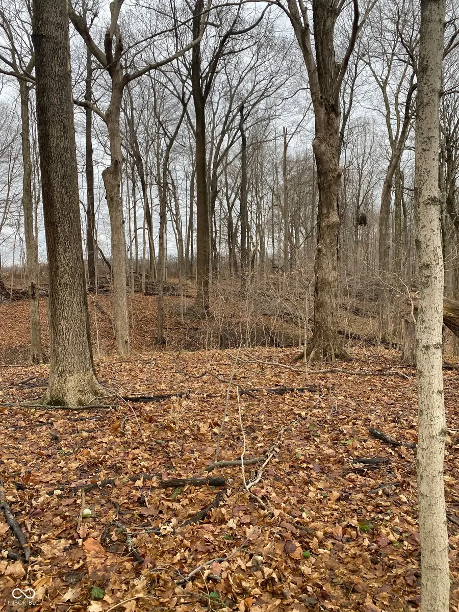 TBD E Us Highway 136 Road E, Crawfordsville, IN 47933 - Image #2