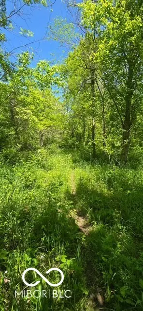 3435 S R 37 N, Martinsville, IN 46151 - Image #2