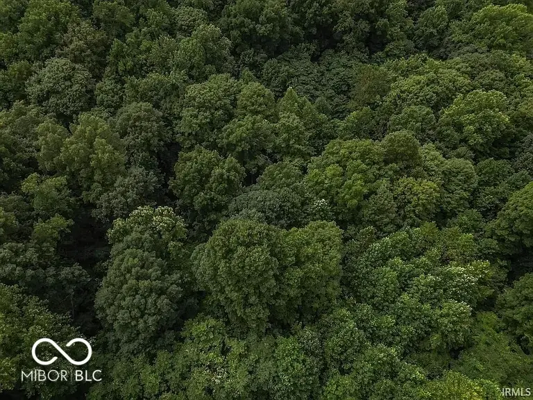 6620 W Duvall Road, Bloomington, IN 47403 - Image #3