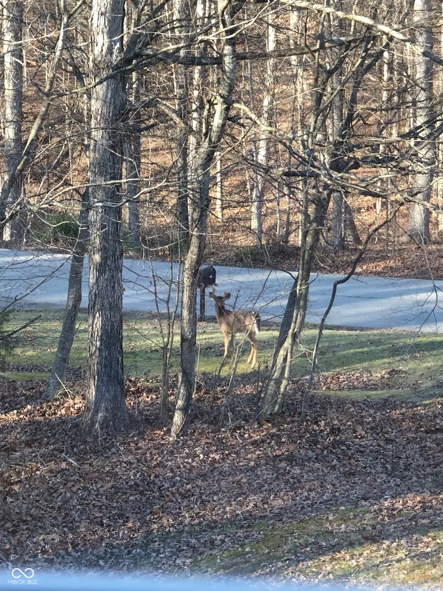 5824 S Poplar Grove Road, Columbus, IN 47201 - Image #3