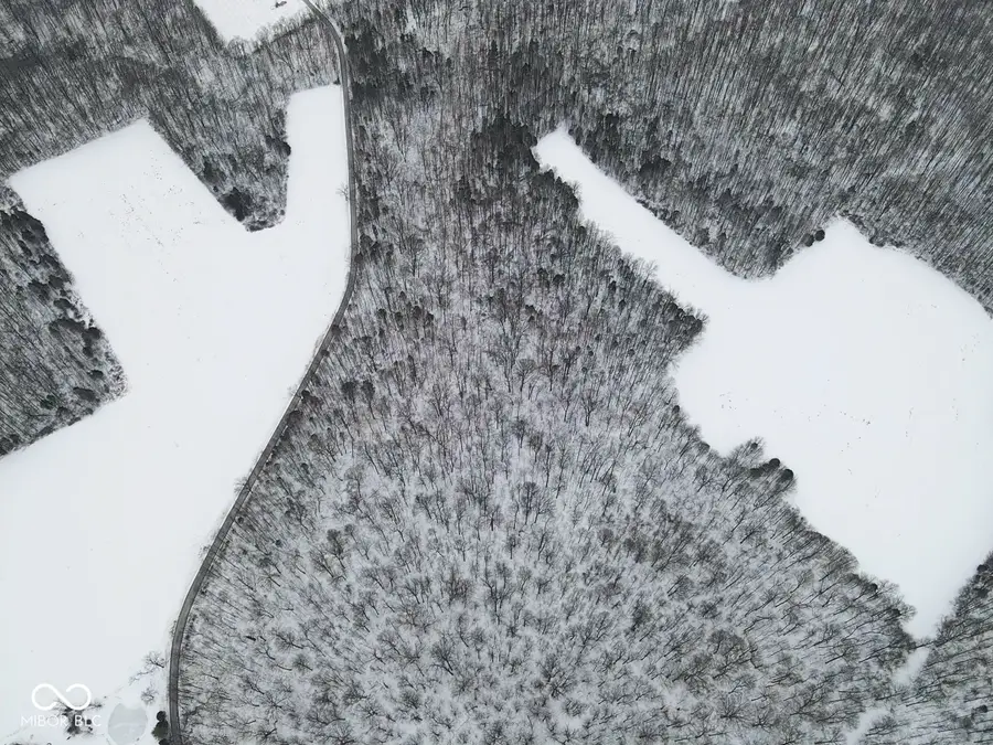 0 Lemon Road, Versailles, IN 47042 - Image #3